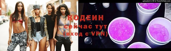 амф Верхний Тагил