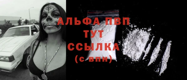 амф Верхний Тагил