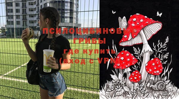 амф Верхний Тагил