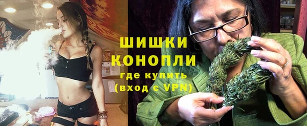 амф Верхний Тагил