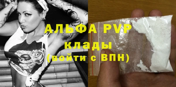 амф Верхний Тагил
