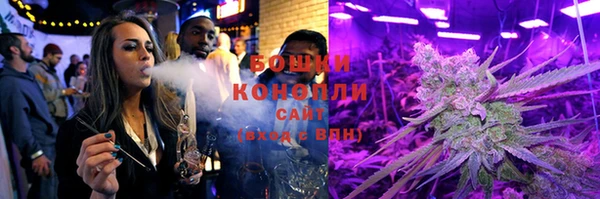 амф Верхний Тагил