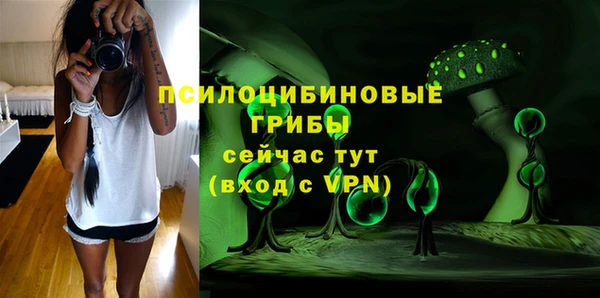 амф Верхний Тагил