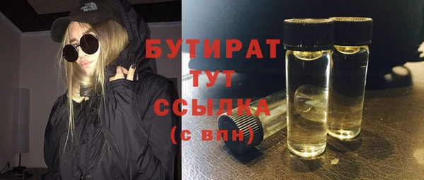 амф Верхний Тагил